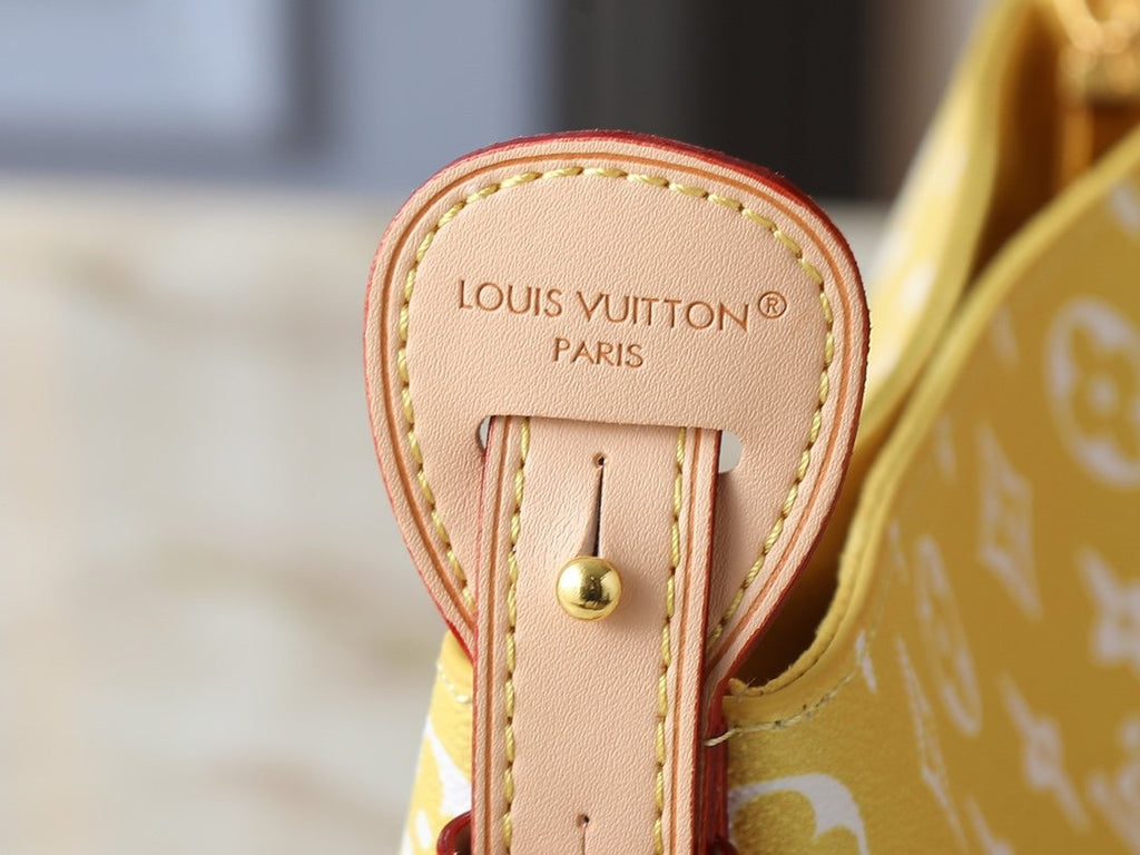 Louis Vuitton All In BB Monogram Bucket Bag — detail