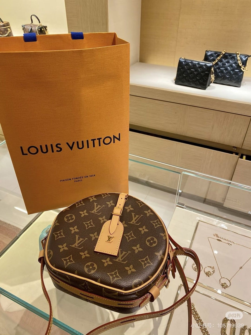 Louis Vuitton Circular Monogram Shoulder Bag — front