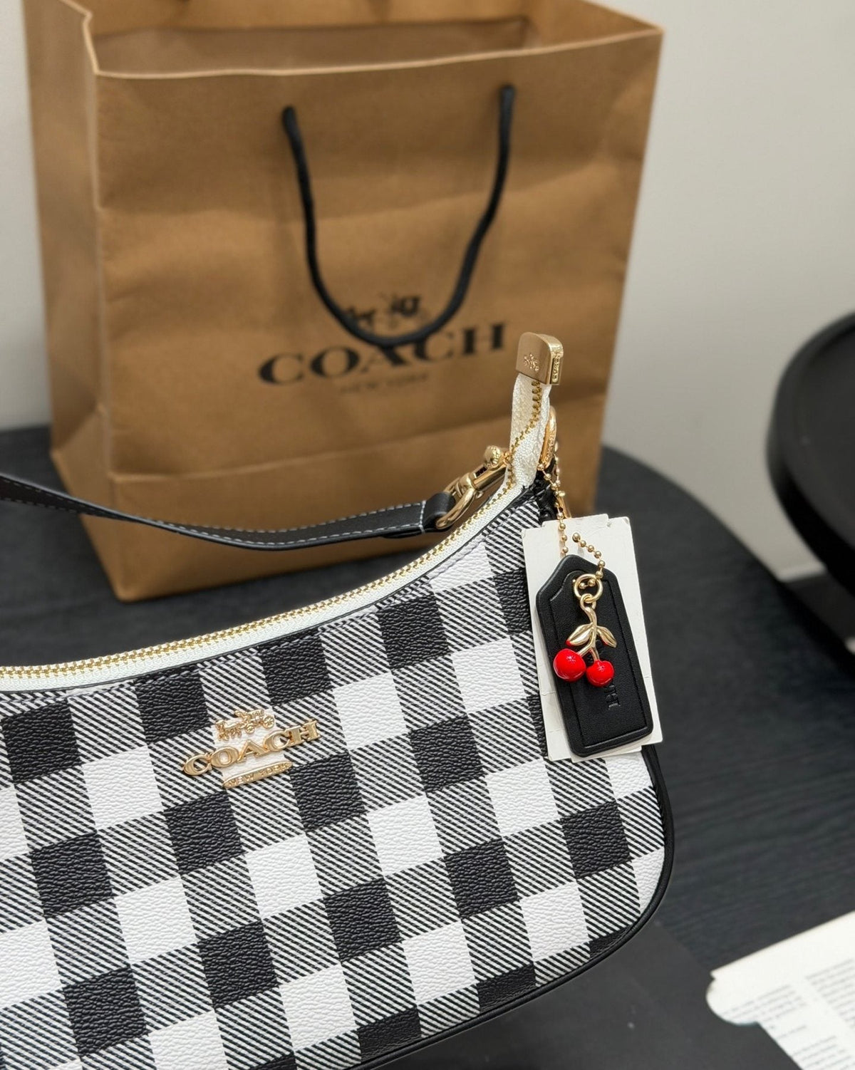 Coach Teri Checked Shoulder Bag — detail