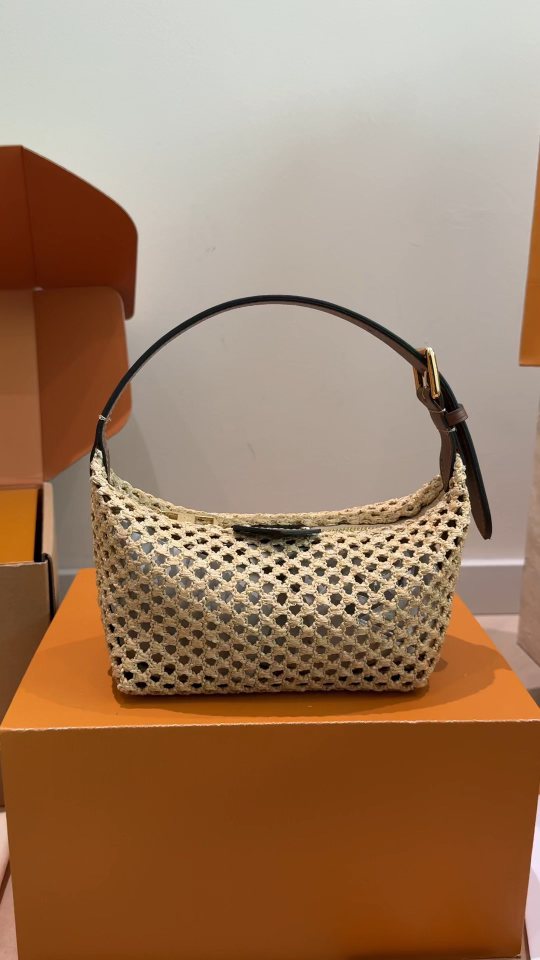 Louis Vuitton Woven Curved-Top Shoulder Bag — hero