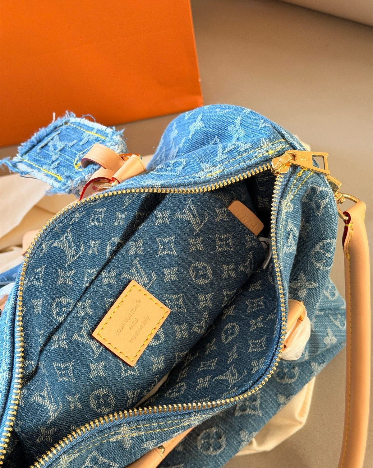 Louis Vuitton Speedy Monogram Denim Bag — detail