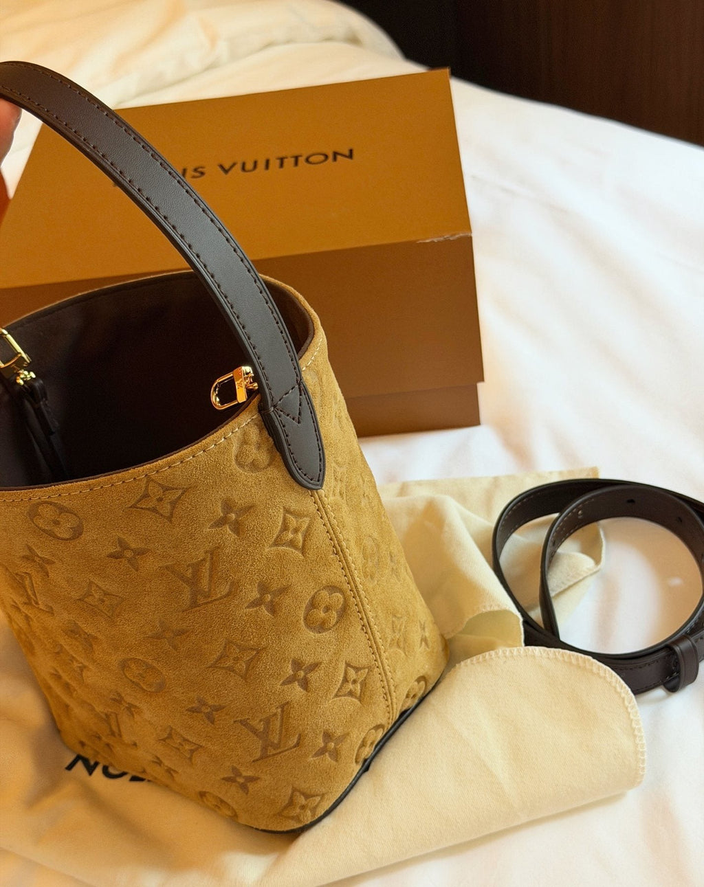 Louis Vuitton All In BB Monogram Bucket Bag — detail
