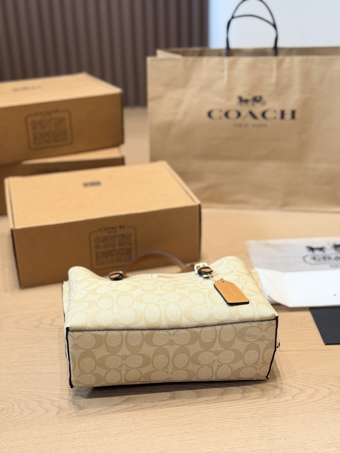 Coach Mollie Signature Tote Bag — detail