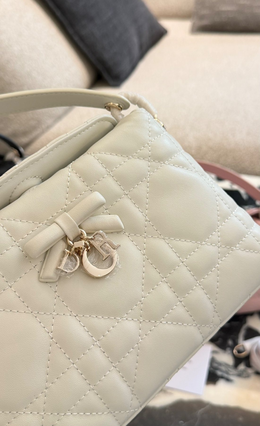 Dior Adiorable Top Handle Bow Bag — detail