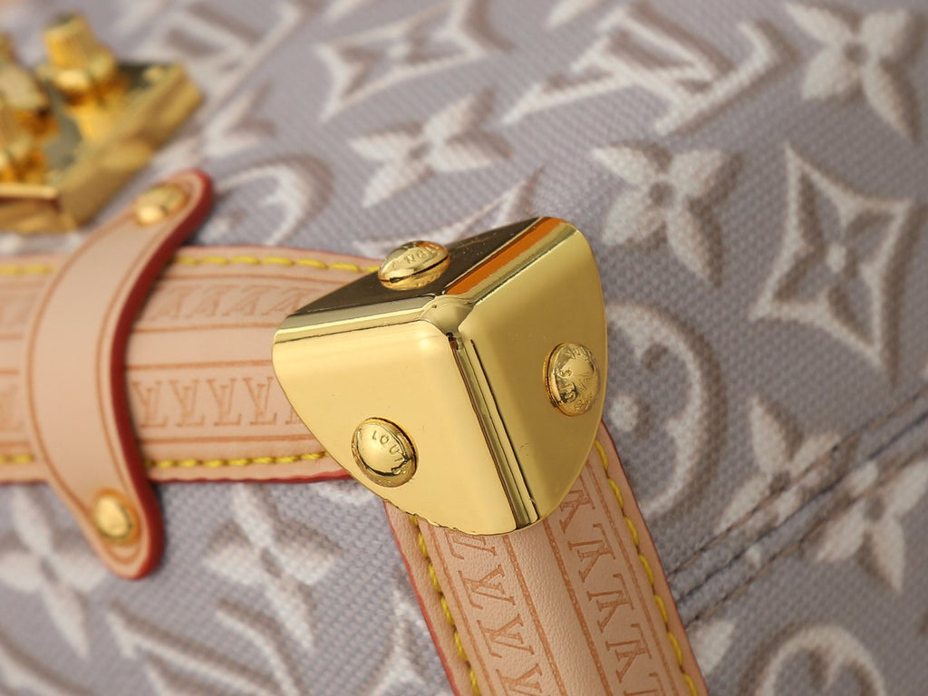 Louis Vuitton Side Trunk Monogram Emblème Handbag — detail