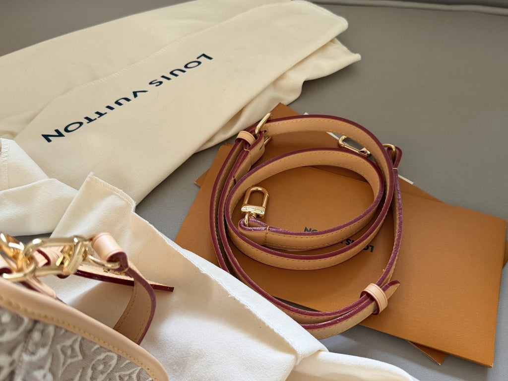 Louis Vuitton Diane Monogram Shoulder Bag — detail