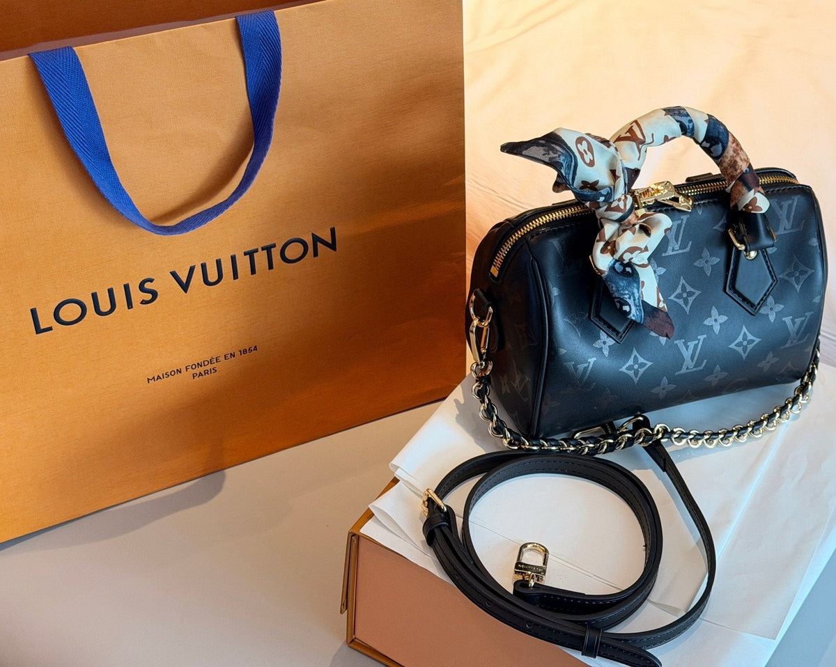 Louis Vuitton Speedy Trunk Monogram Satchel — hero