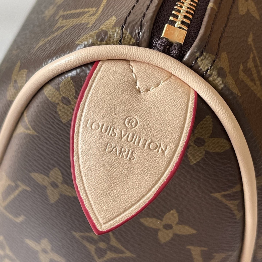 Louis Vuitton Flânerie Monogram Canvas Tote — detail