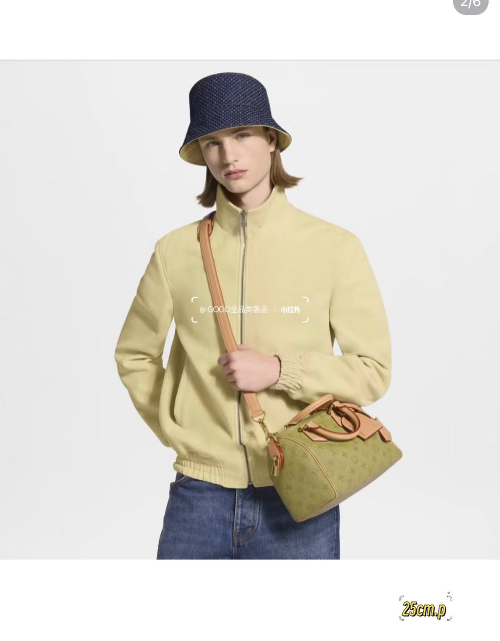 Louis Vuitton Speedy Monogram Barrel Handbag — model