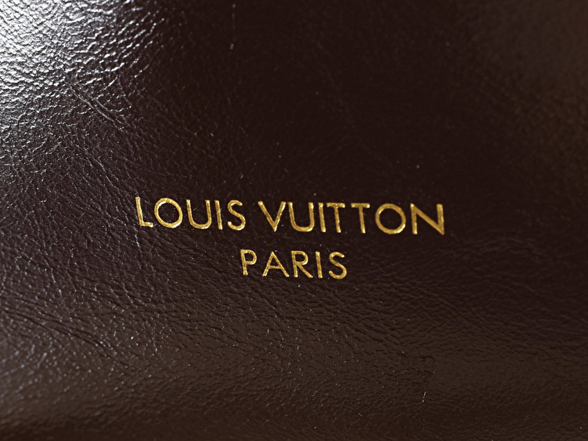 Louis Vuitton Multipass Chain Shoulder Bag — detail