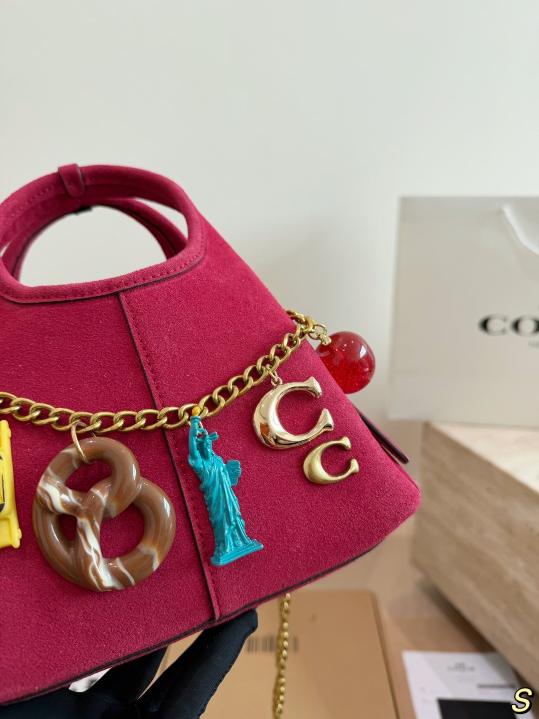 Coach Lana Charm Chain Handbag — detail