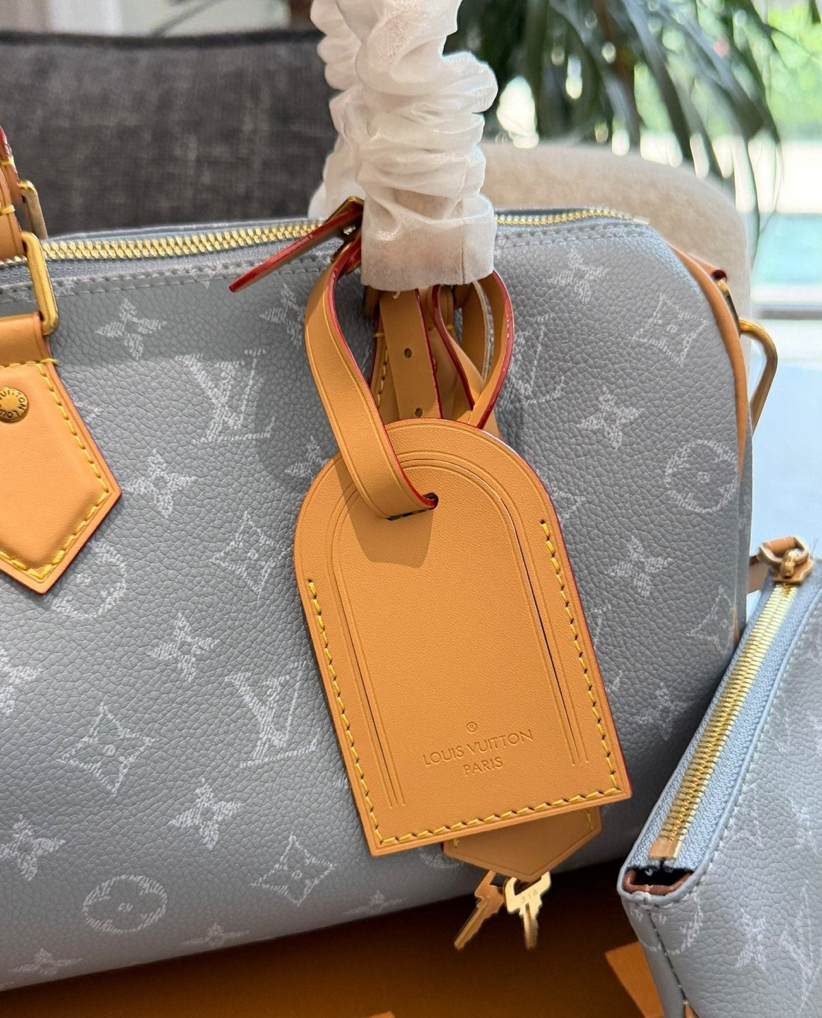 Louis Vuitton Speedy Monogram Handbag — detail