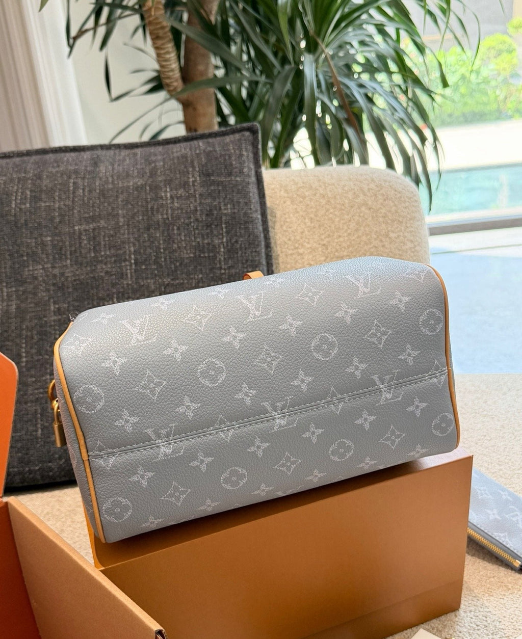 Louis Vuitton Speedy Monogram Handbag — detail