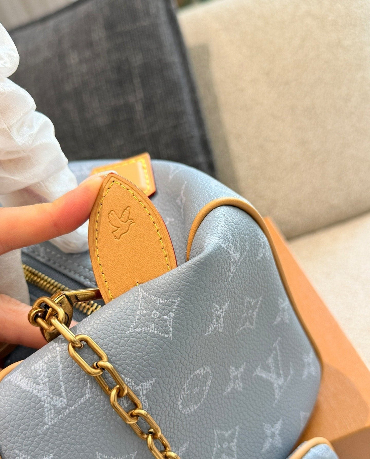 Louis Vuitton Speedy Monogram Handbag — detail