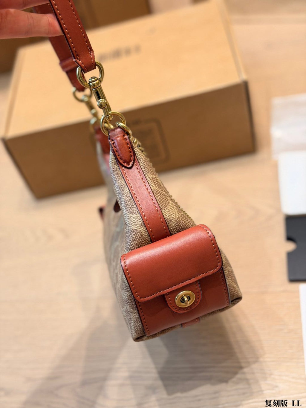 Coach C-Pattern Chain Hobo Bag — side