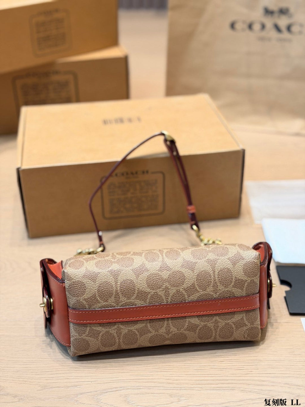 Coach C-Pattern Chain Hobo Bag — back