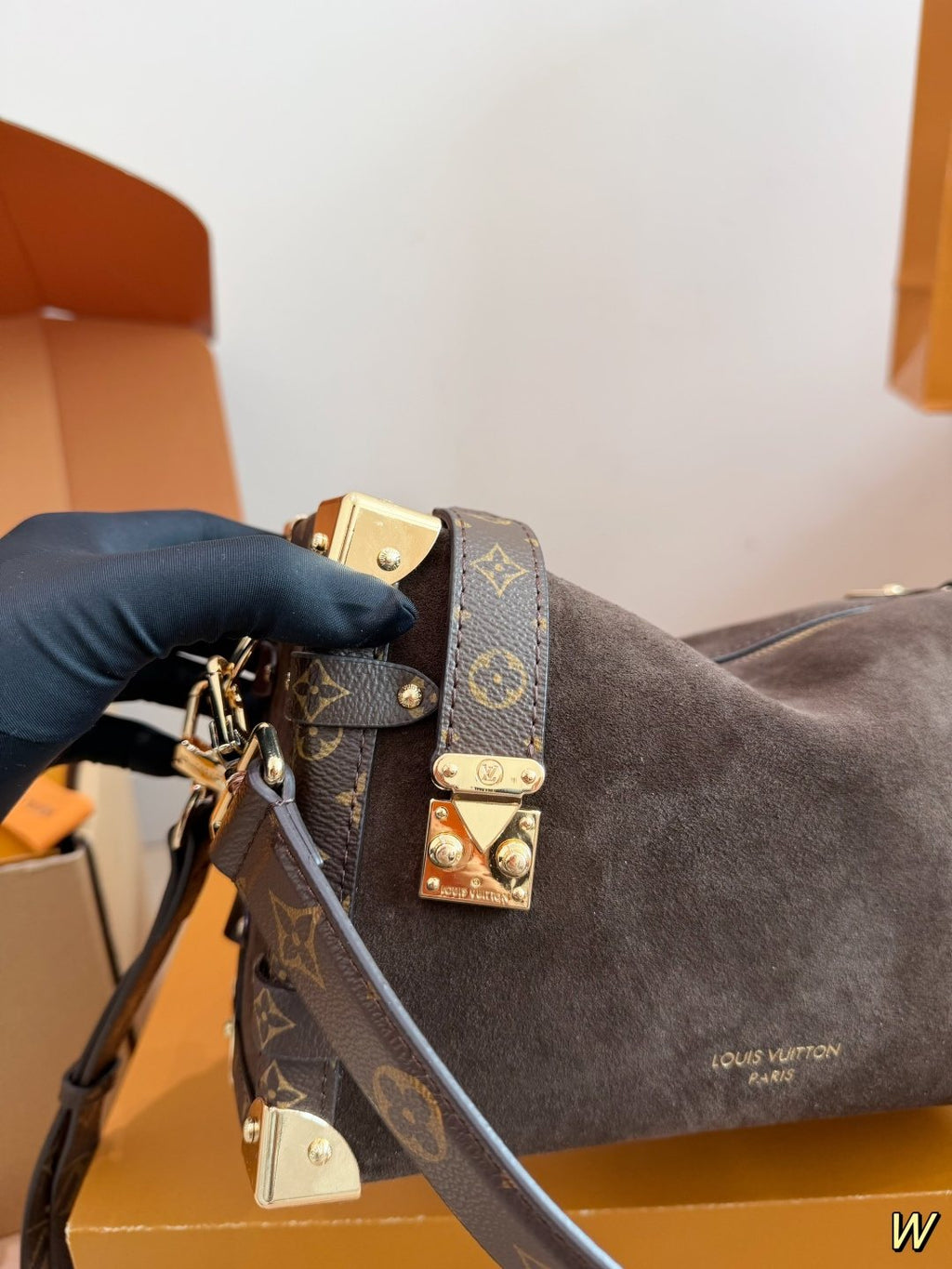Louis Vuitton Trunk Top-Handle Bag with Monogram Trim — detail