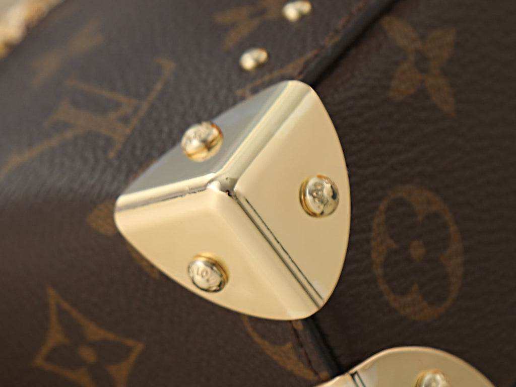 Louis Vuitton Vanity Pouch Monogram Trunk-Style Handbag — detail