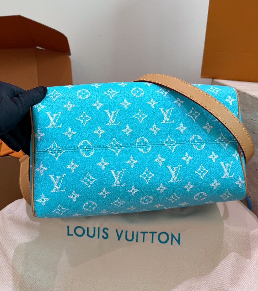 Louis Vuitton Speedy Monogram Satchel — back