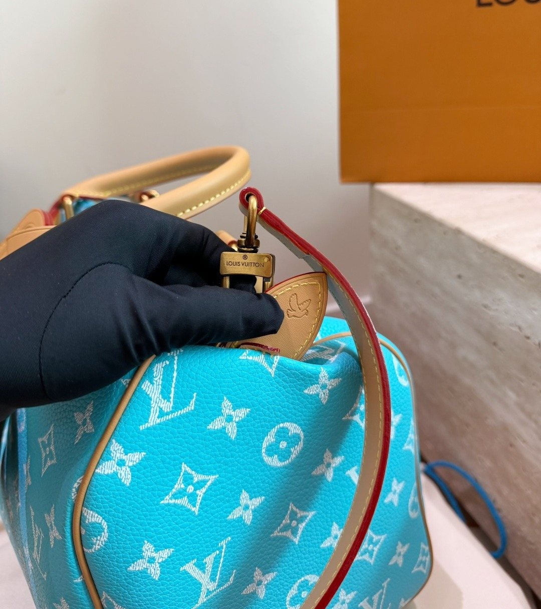 Louis Vuitton Speedy Monogram Satchel — detail