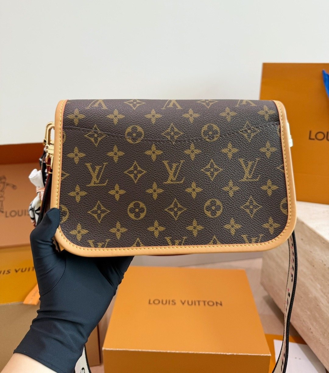 Louis Vuitton Diane Monogram Shoulder Bag — back