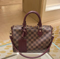 Louis Vuitton Speedy Checker Bag with Burgundy Trim — hero