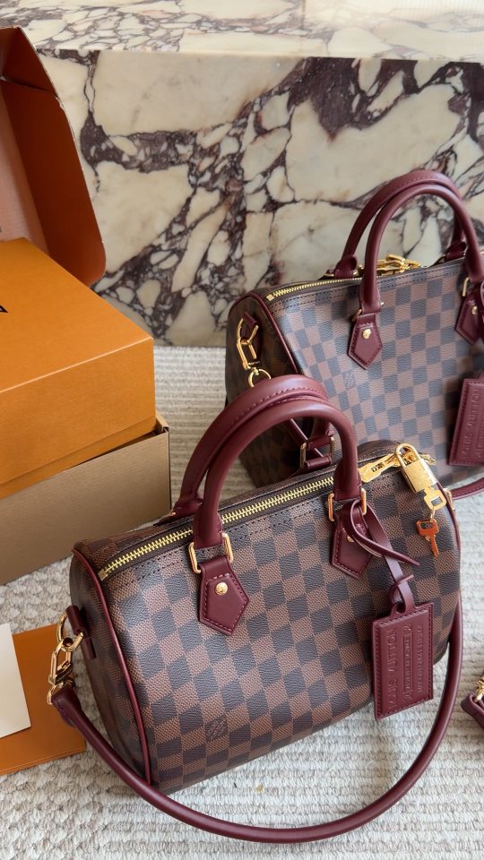 Louis Vuitton Speedy Checkerboard Bag with Burgundy Trim — comparison
