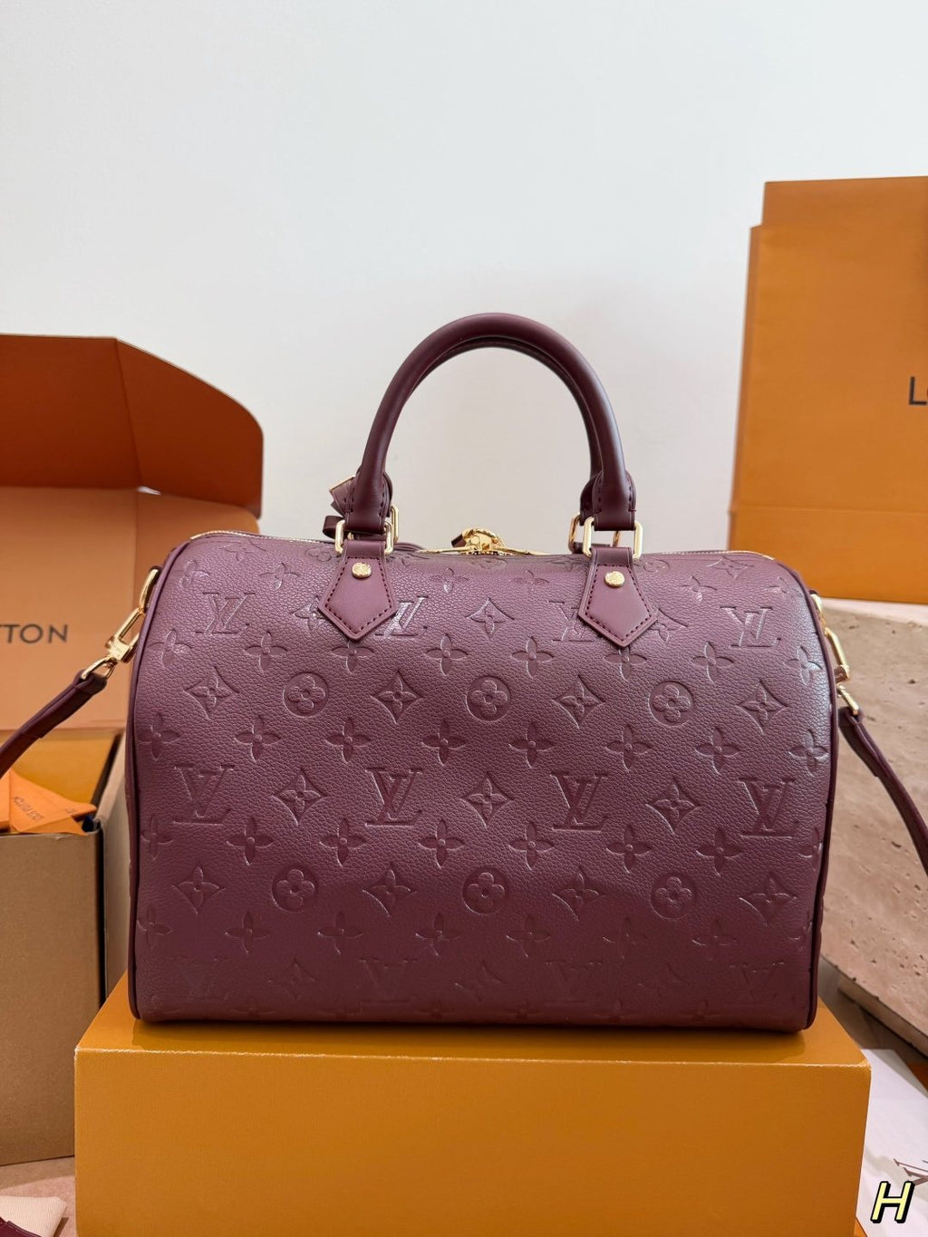 Louis Vuitton Speedy Soft Lucky Burgundy Monogram Bag — back