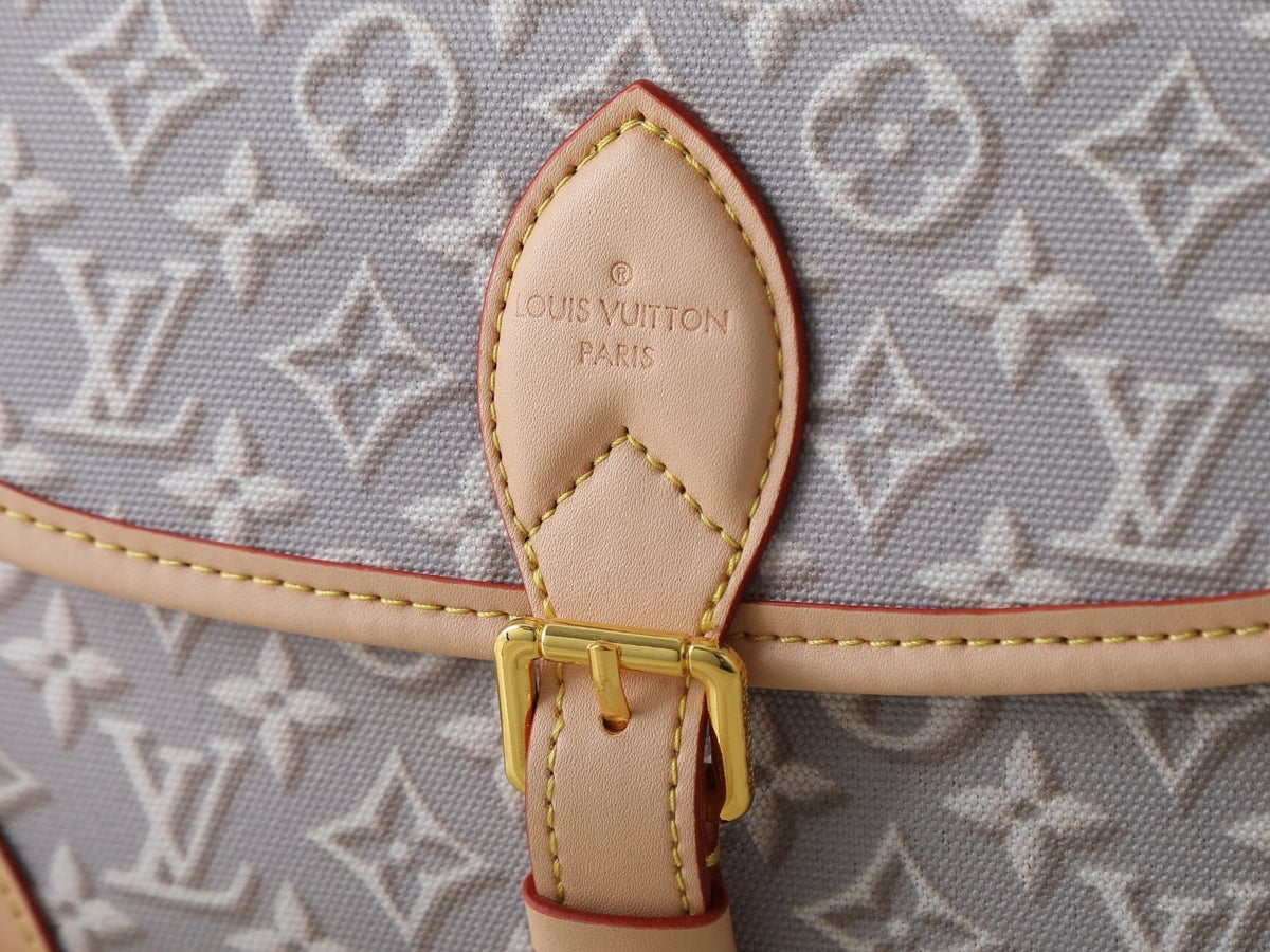 Louis Vuitton Diane Monogram Denim Shoulder Bag — detail