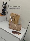 Coach C-Pattern Chain-Link Shoulder Bag — hero